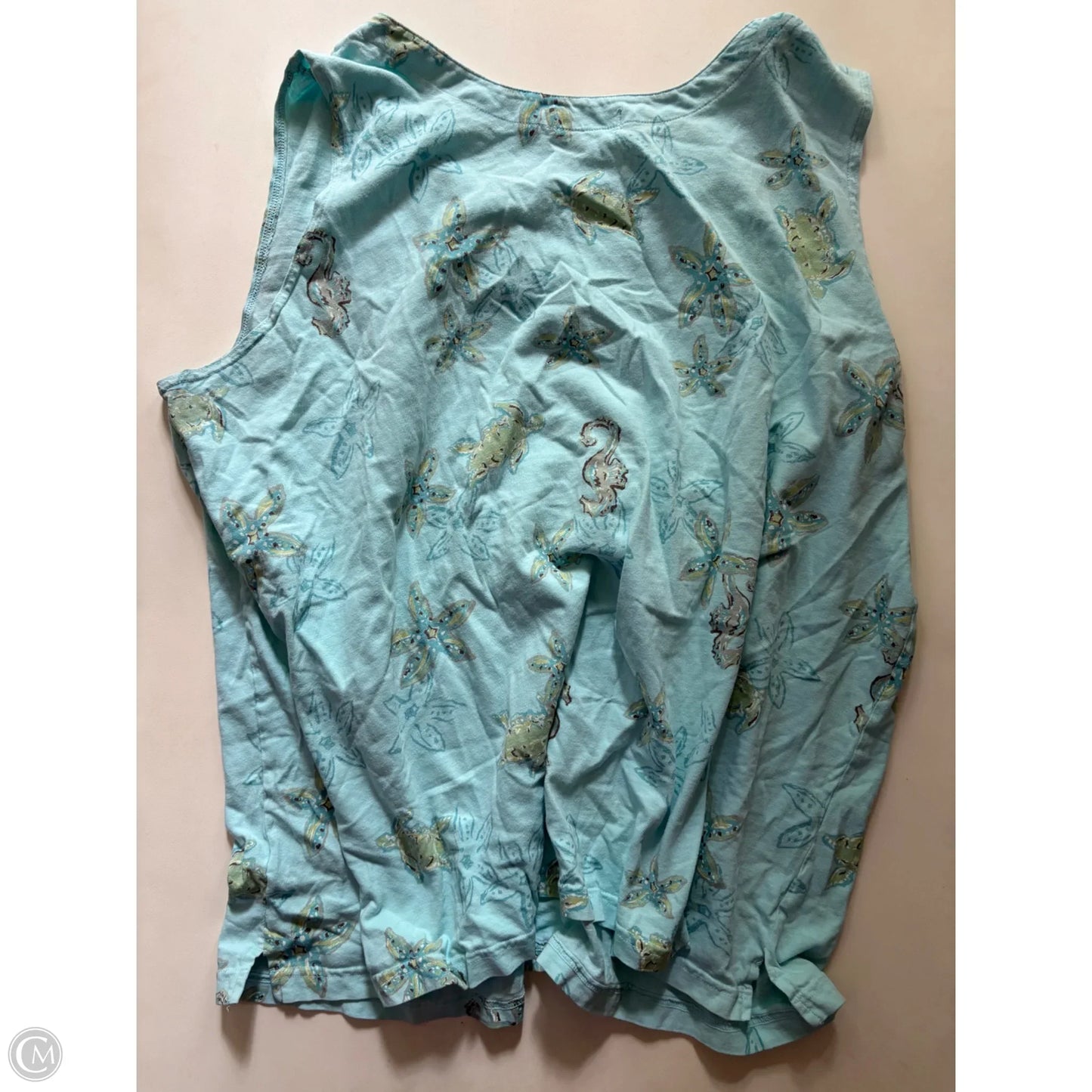 Top Sleeveless By Fresh Produce In Blue, Size: 3x