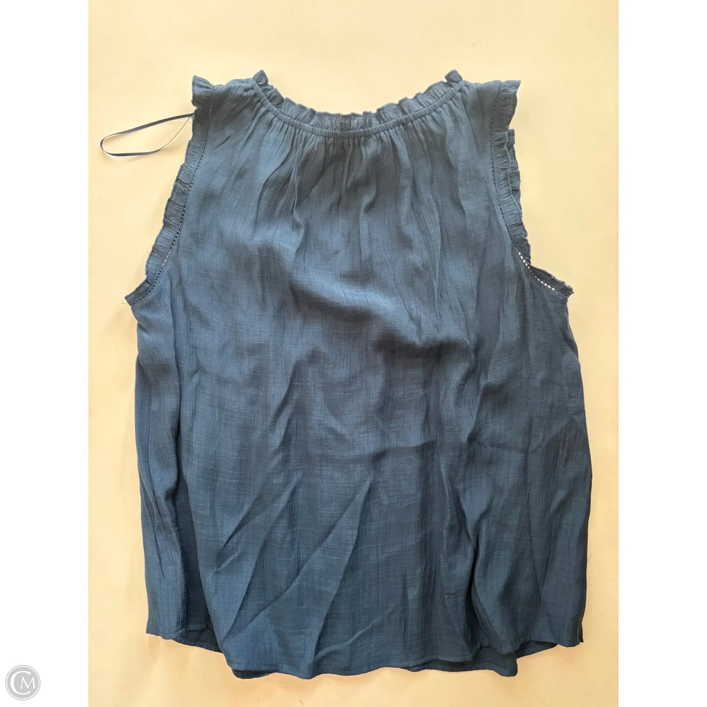 Top Sleeveless By Wonderly In Blue, Size: 1x