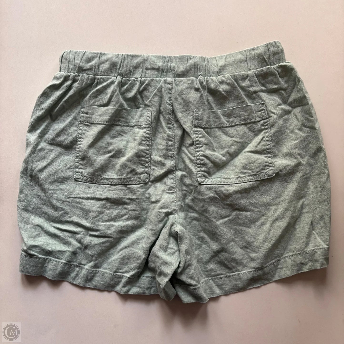 Shorts By Briggs In Green, Size: 8