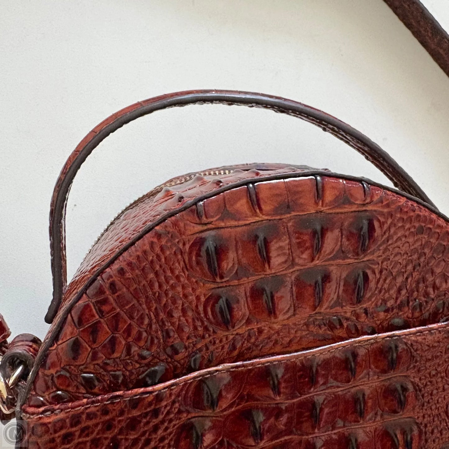 Handbag Designer Label By Brahmin, Size: Large