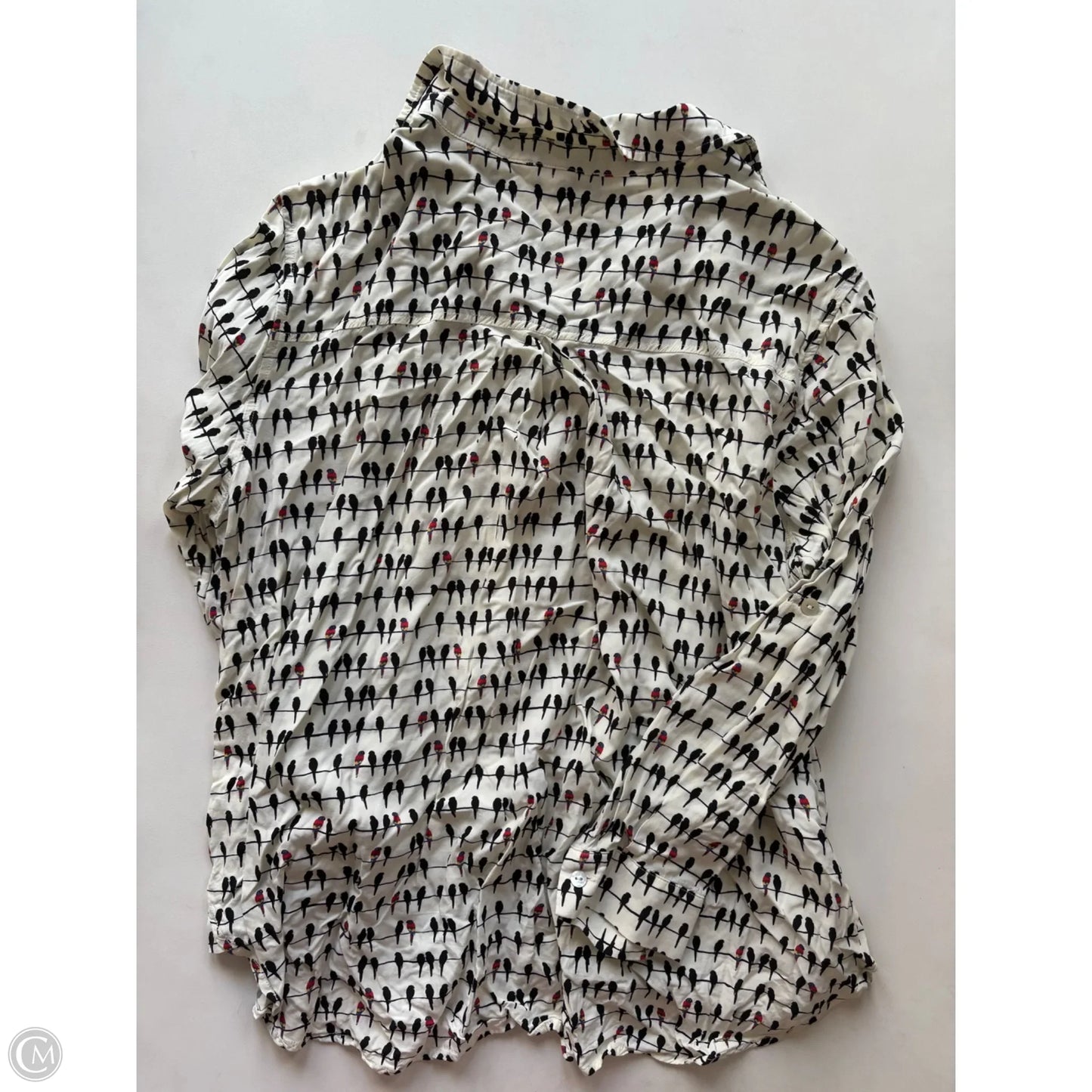 Blouse Long Sleeve By june and delancy In White, Size: 1x