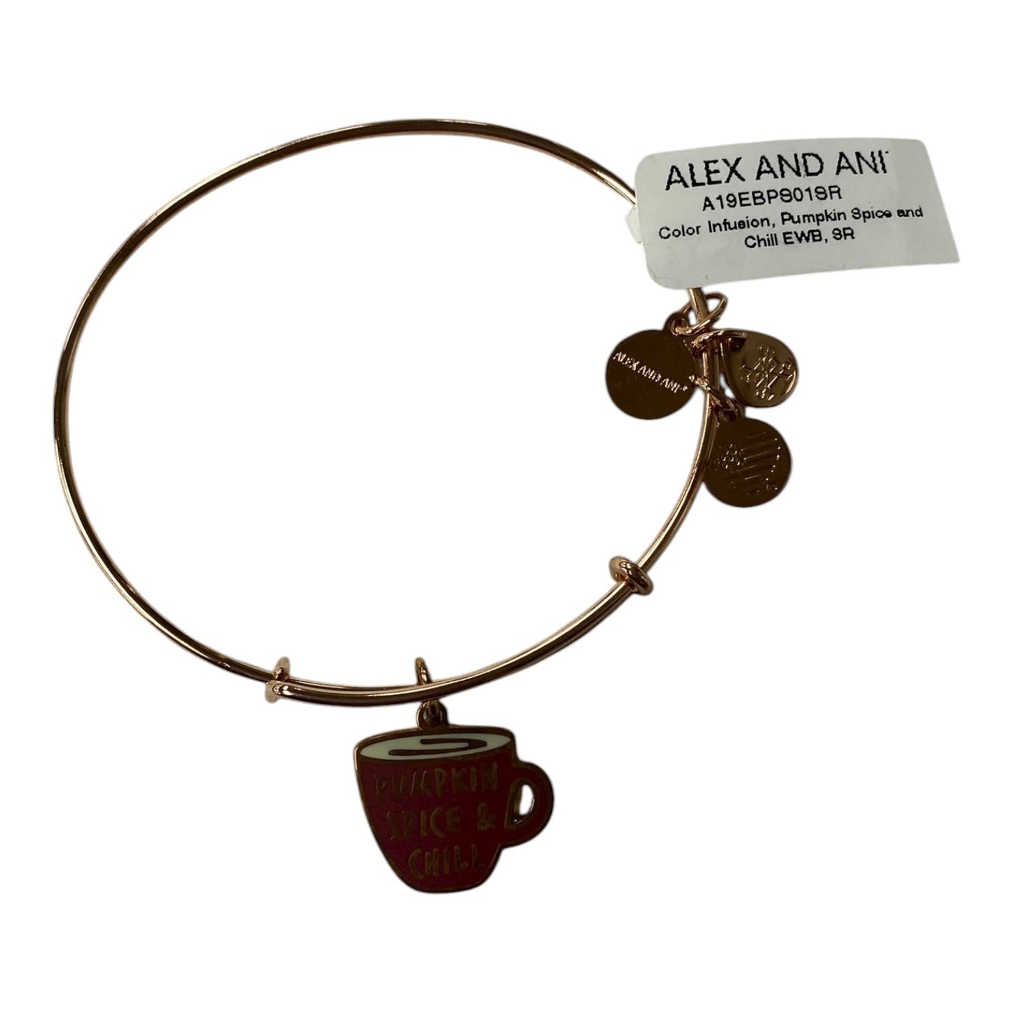 BRACELET OTHER by ALEX AND ANI in SILVER