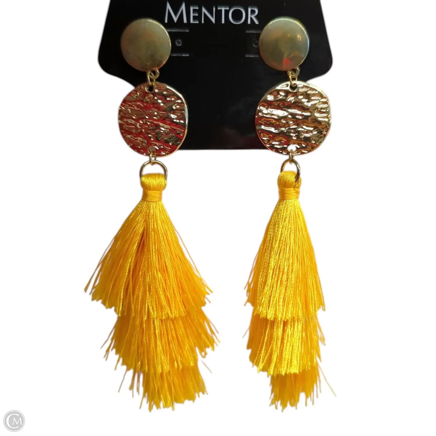 Earrings Dangle/drop By Clothes Mentor