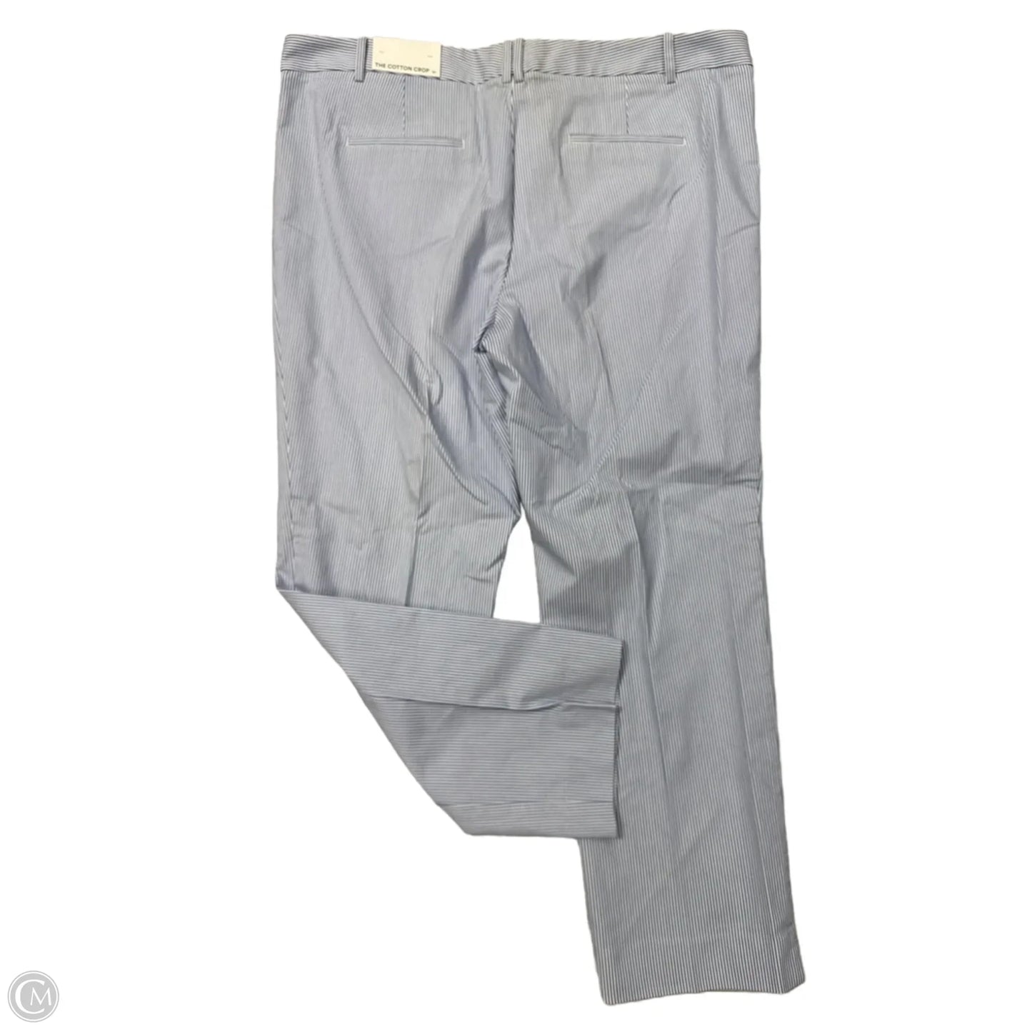 New! Pants Cropped By Ann Taylor In Striped Pattern, Size: 18T