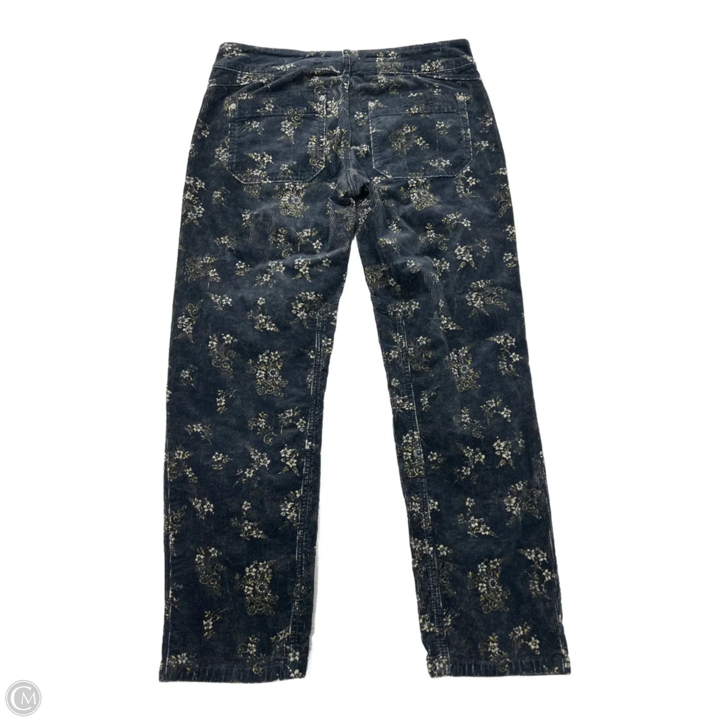 Pants Corduroy By Pilcro In Black, Size: 6