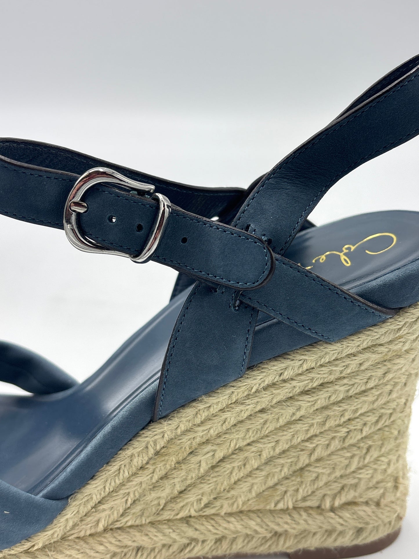 Shoes Heels Wedge By Cole-Haan In Blue, Size: 11