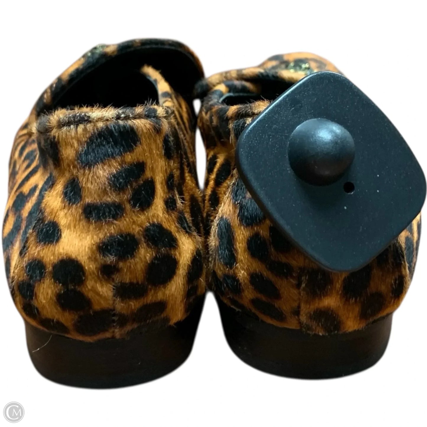 Shoes Designer By Kurt Geiger In Animal Print, Size: 6.5
