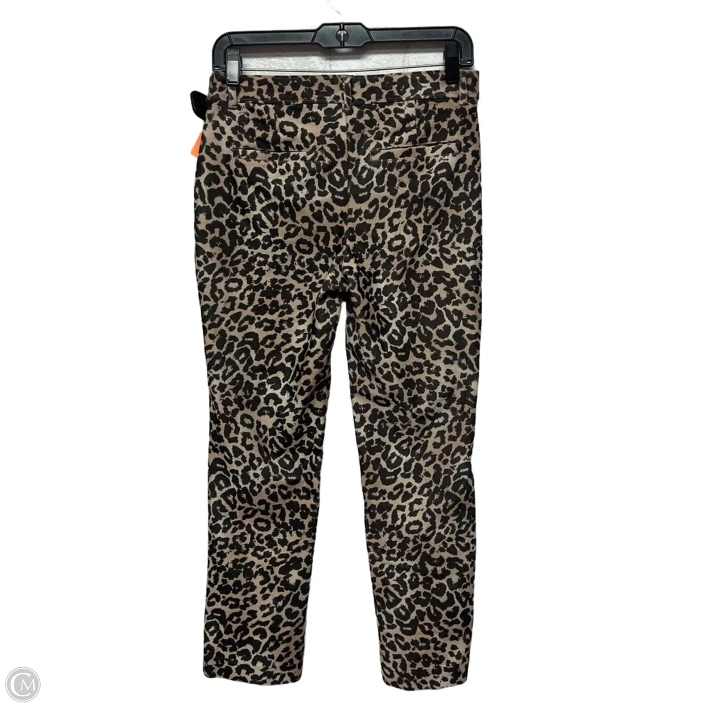Pants Other By Free People In Animal Print, Size: 6