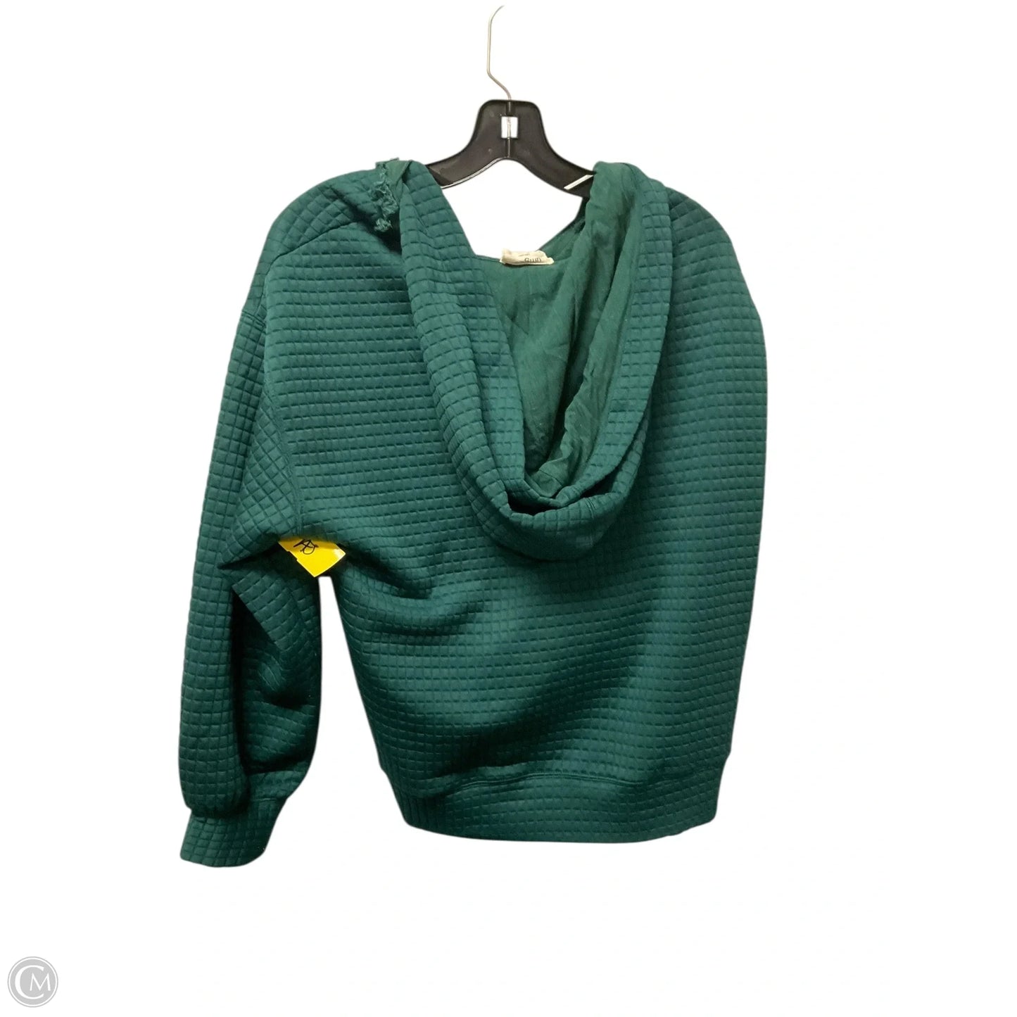 Sweatshirt Hoodie By Umgee In Green, Size: S