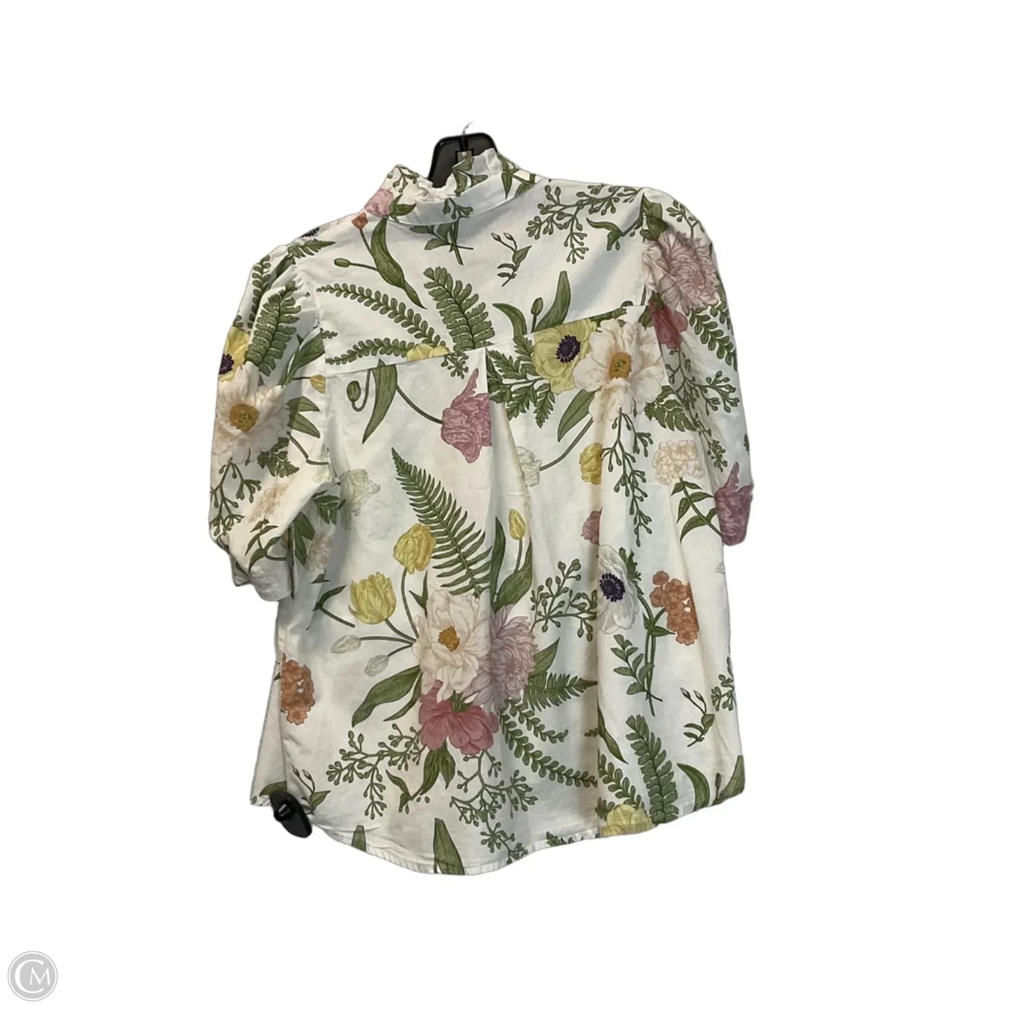 Top Short Sleeve By Entro In Cream & Green, Size: S