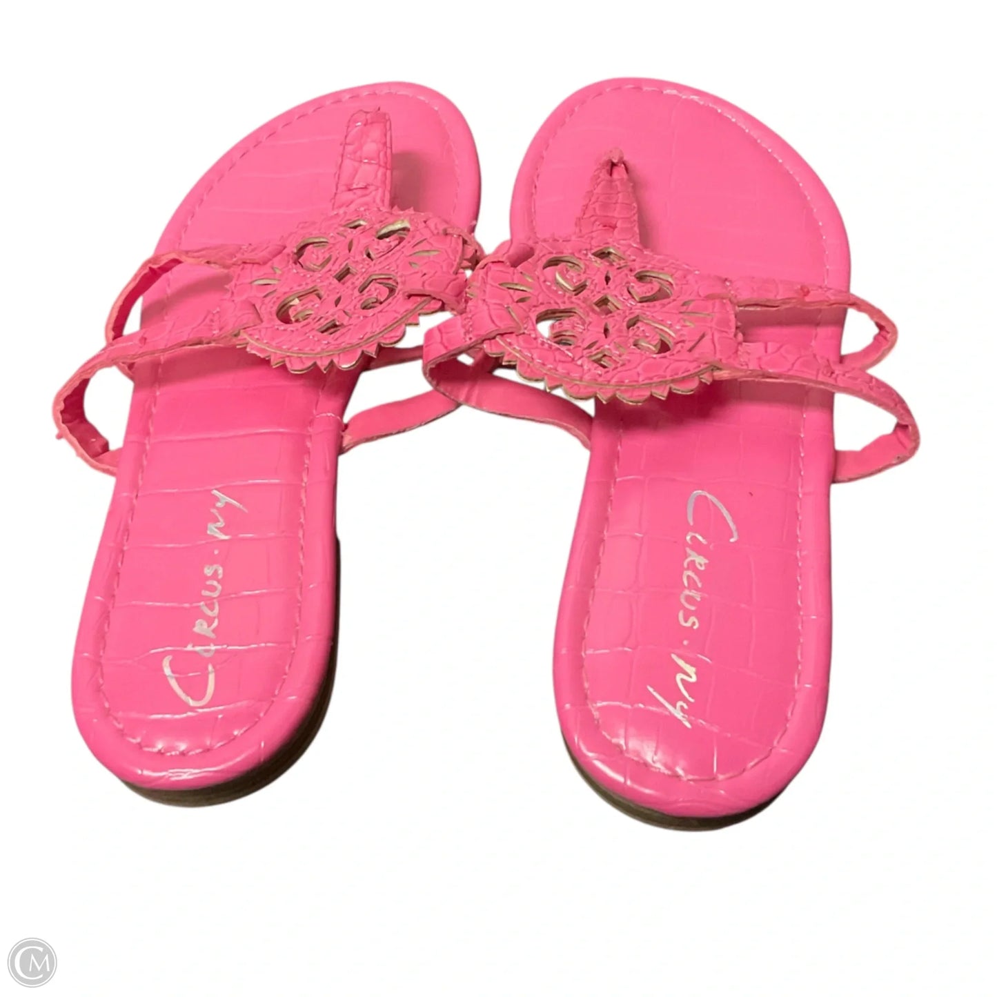 Sandals Flip Flops By Circus By Sam Edelman In Pink, Size: 6