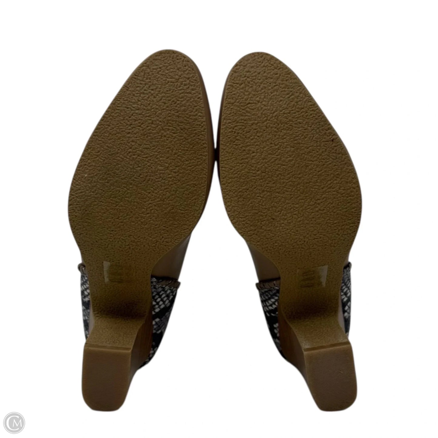 Poppy Snakeskin Embossed Leather Ankle Boots By Jack Rogers In Brown, Size: 6.5