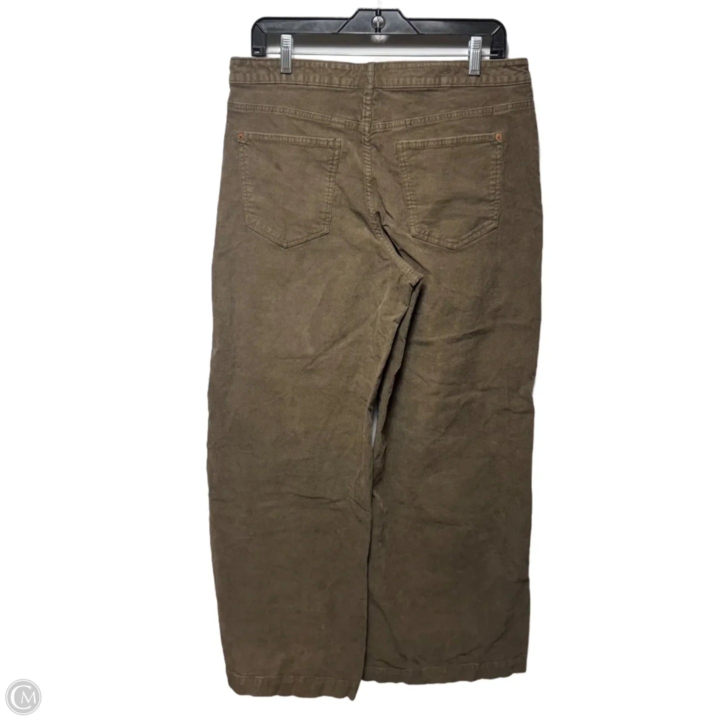 Pants Corduroy By Pilcro In Brown, Size: 12/31