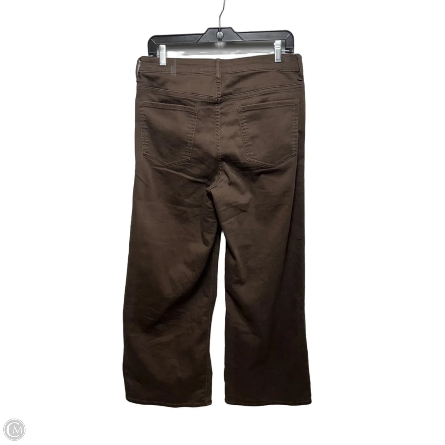 Pants Wide Leg By Quince In Brown, Size: 12/31