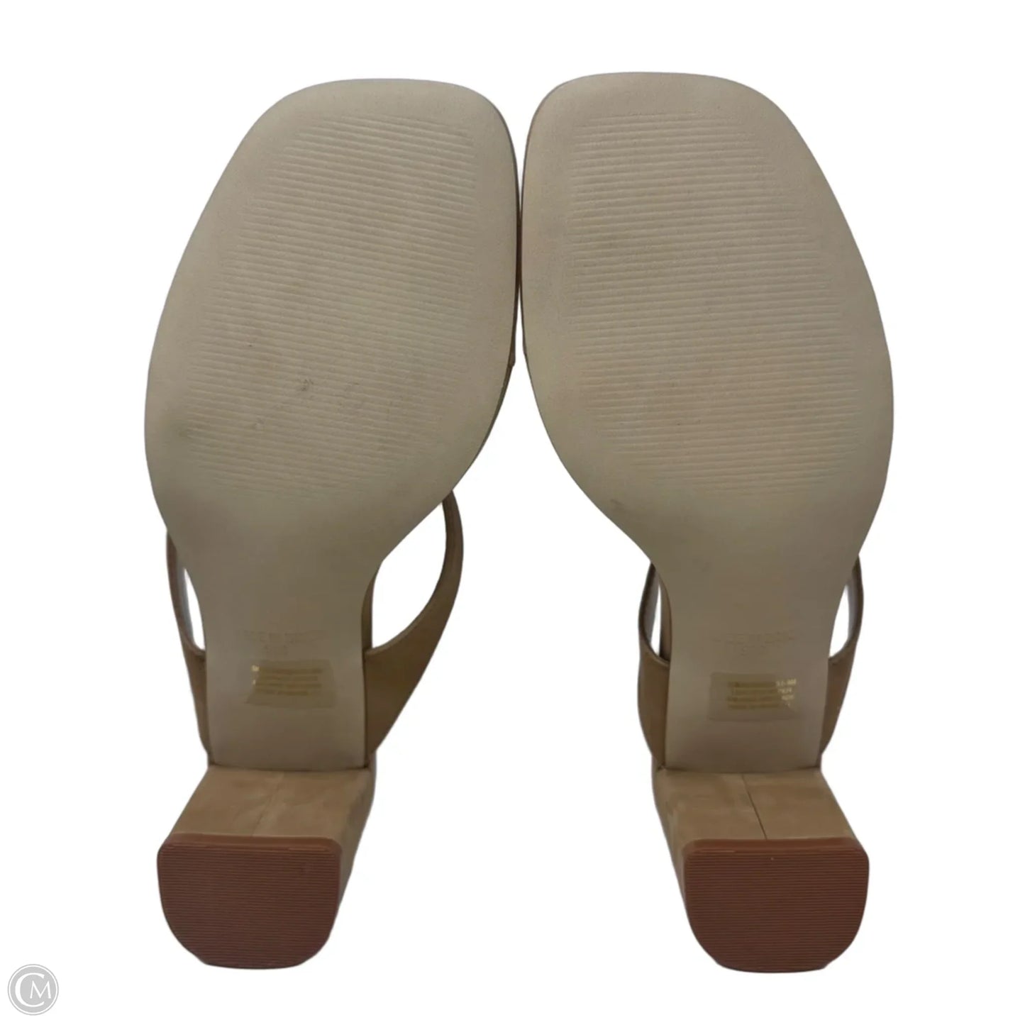 Block Heel Thong Sandals Heels By Steve Madden In Tan, Size: 9