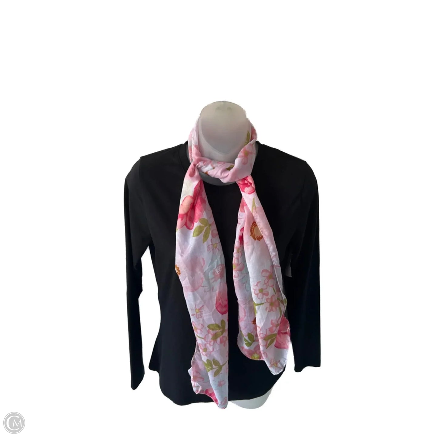 Scarf Long By Clothes Mentor