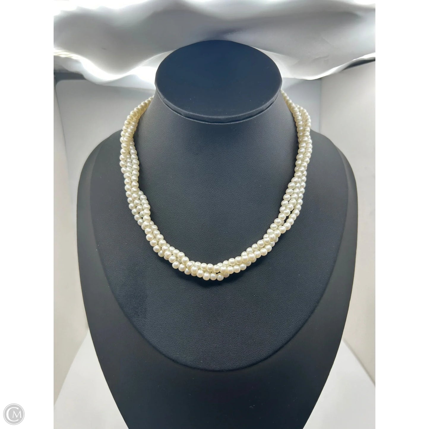 Necklace Layered By Clothes Mentor