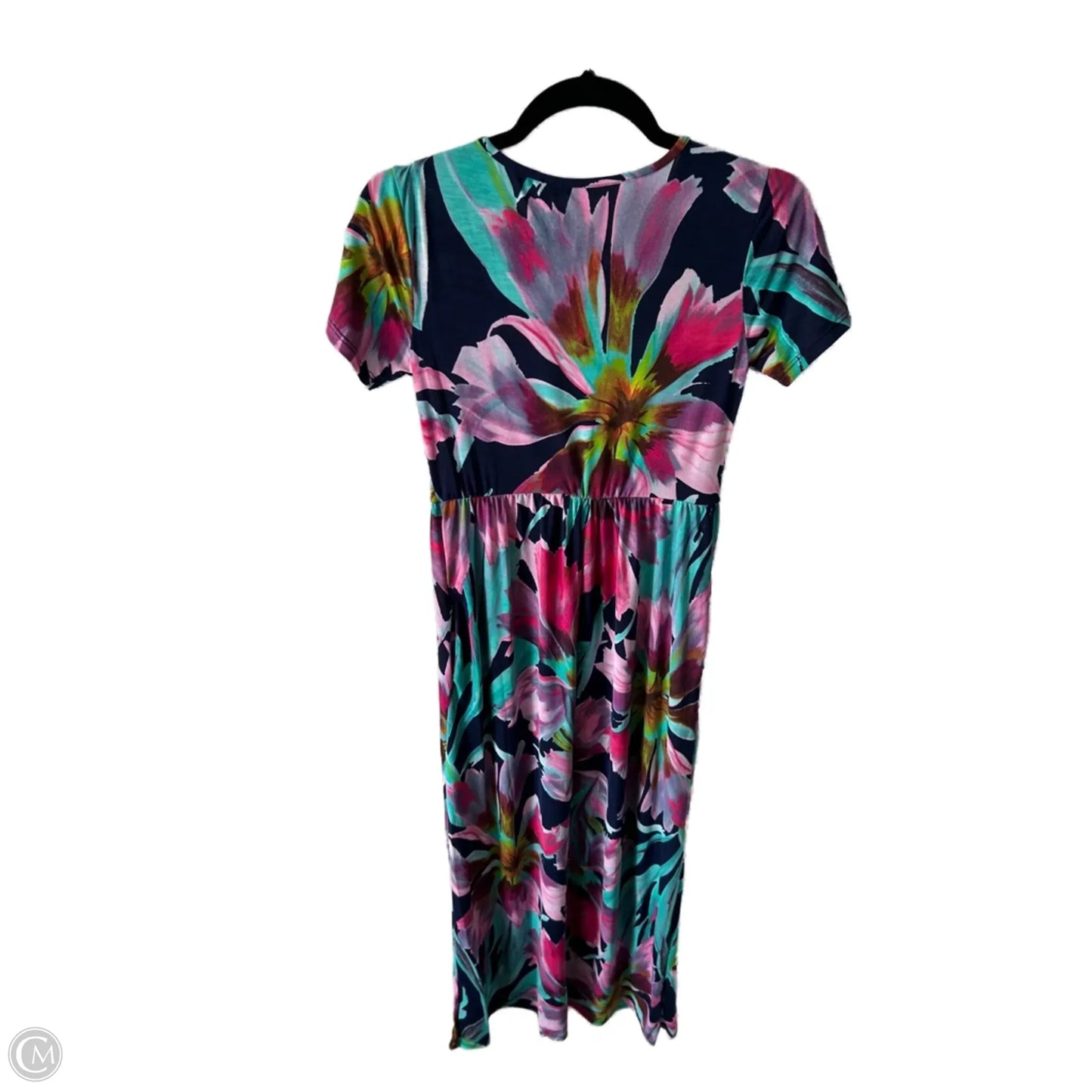 Dress Casual Maxi By Heimish Usa In Blue & Pink, Size: S