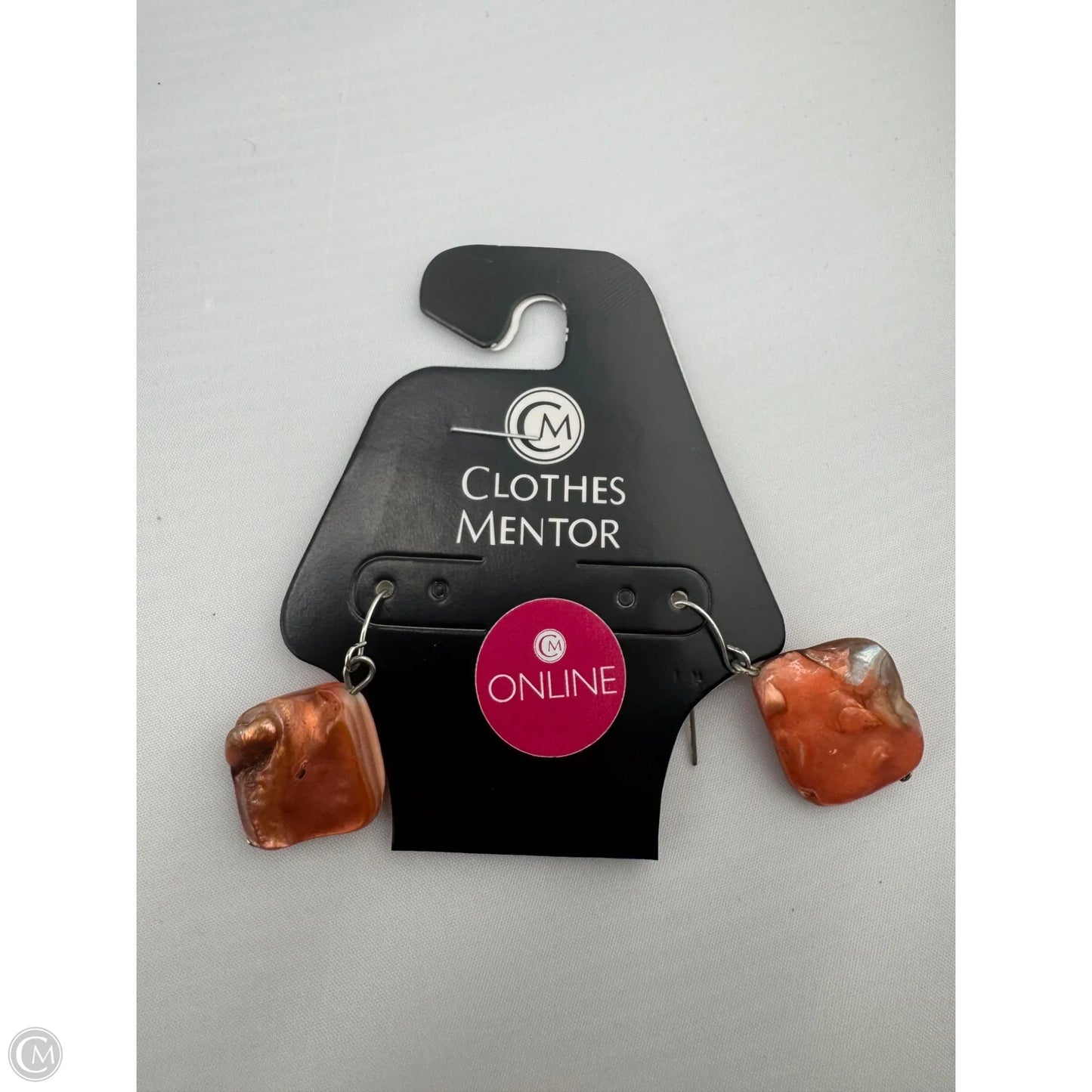 Earrings Dangle/drop By Clothes Mentor
