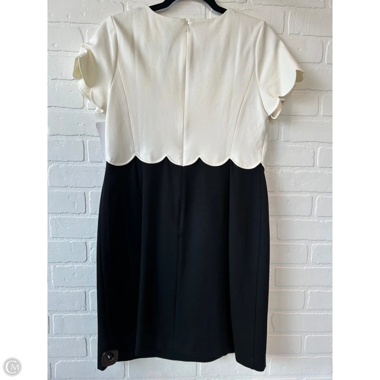 Dress Work By Talbots In Black & Cream, Size: Mp