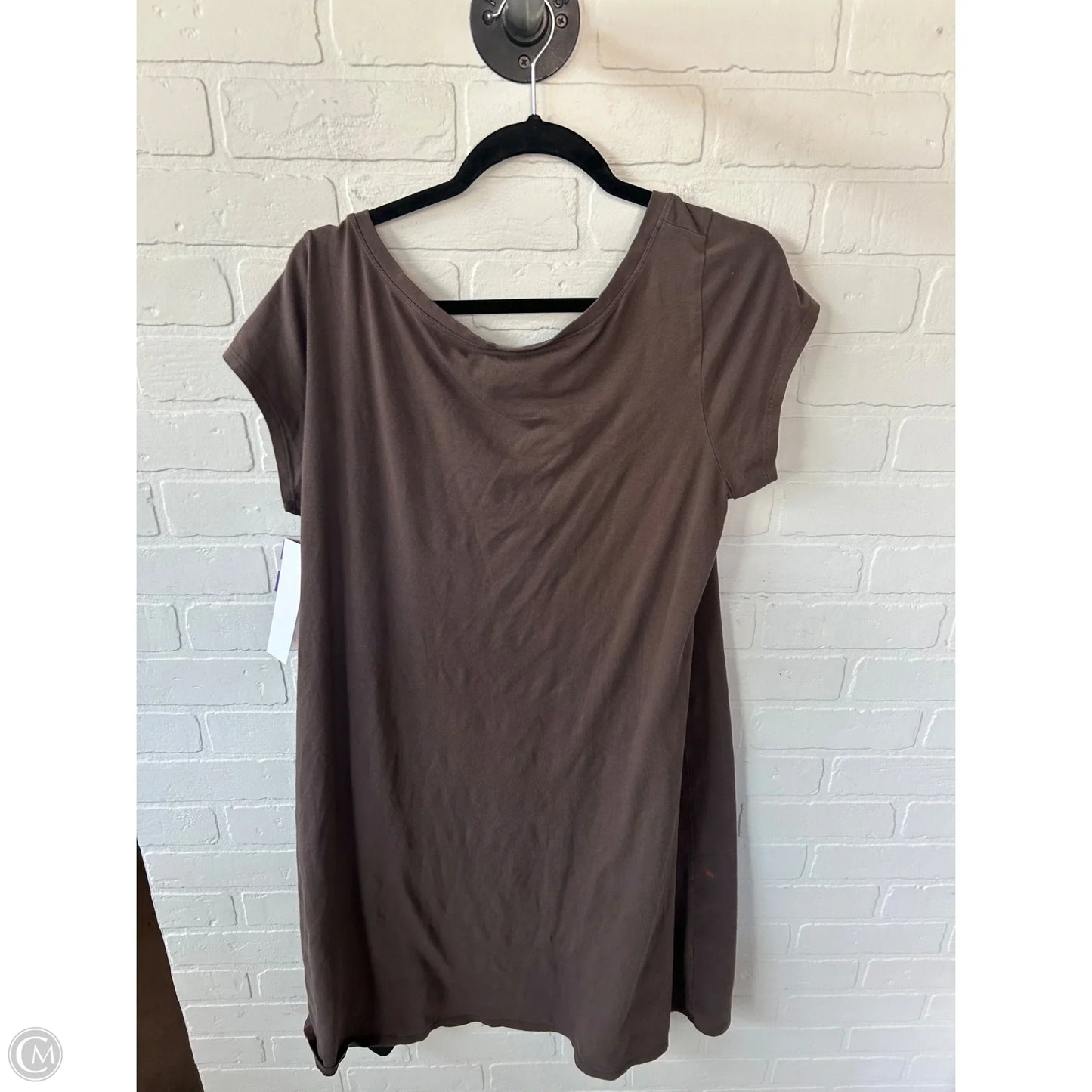 Dress Casual Short By Eileen Fisher In Brown, Size: Xl