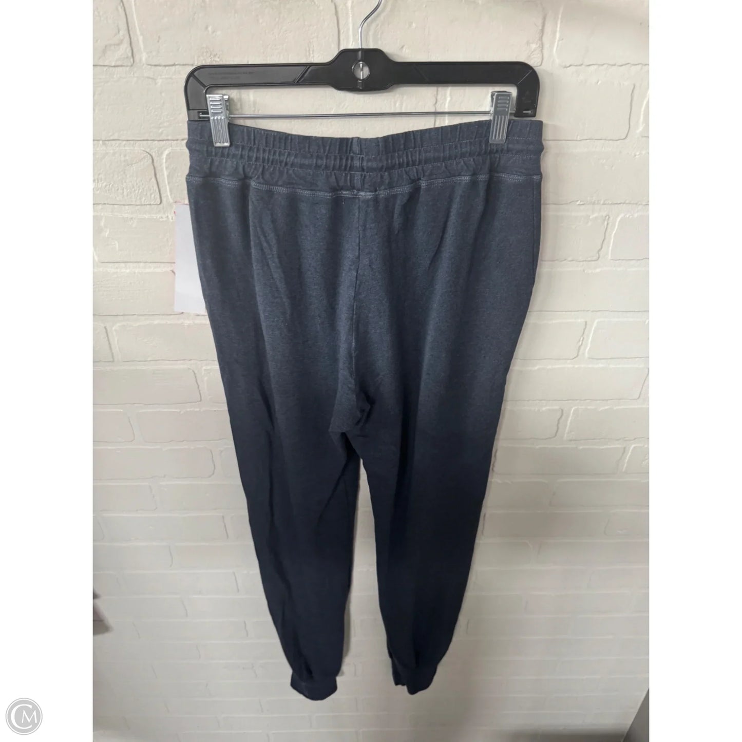 Pants Joggers By Sundry In Blue, Size: 4