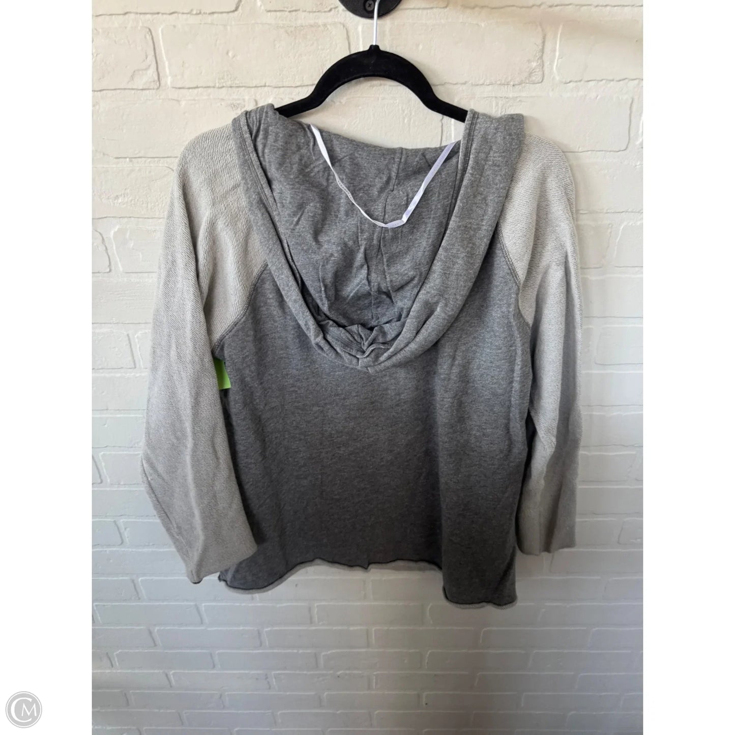 Athletic Sweatshirt Hoodie By Calvin Klein Performance In Grey, Size: 1x