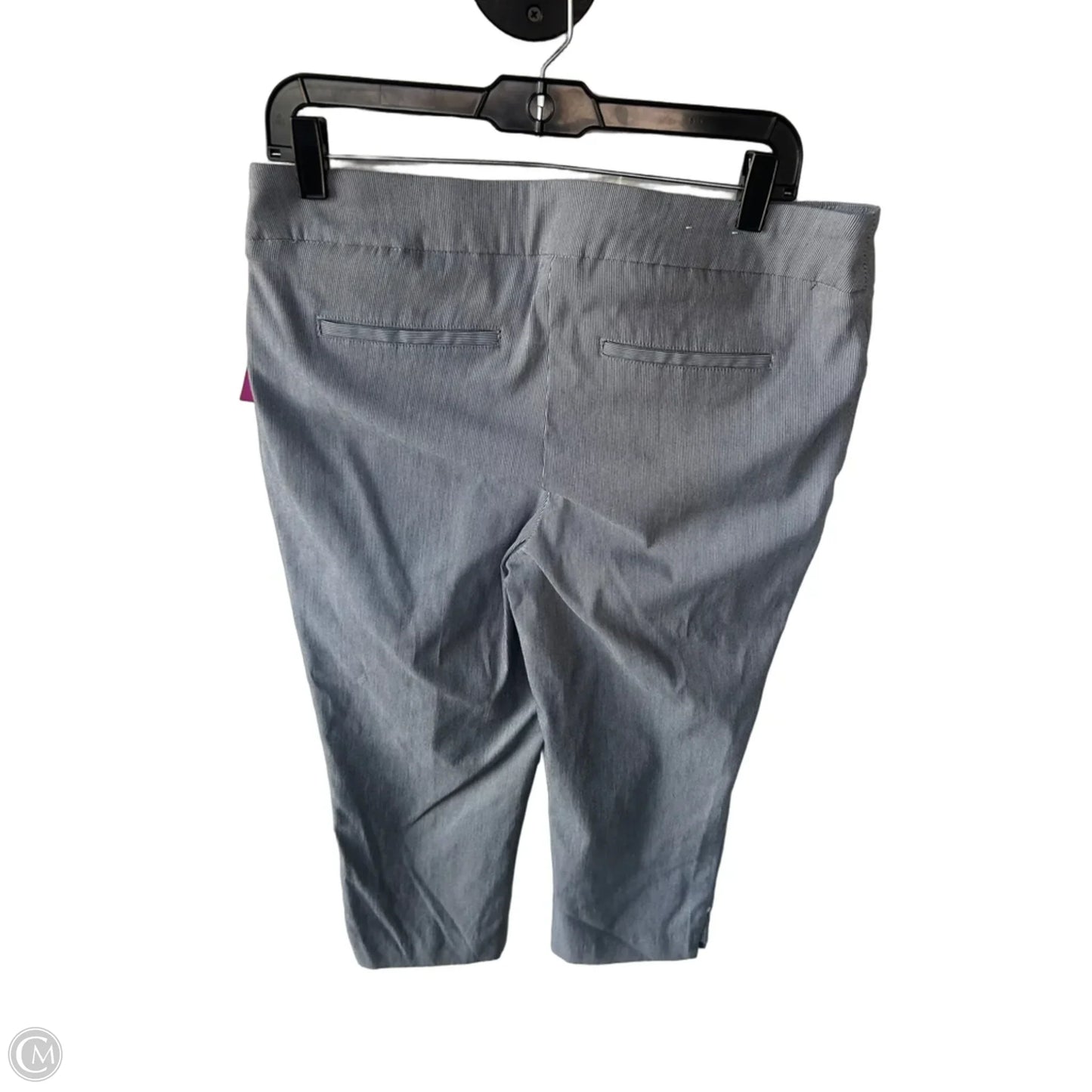 Pants Other By Hilary Radley In Grey, Size: 12