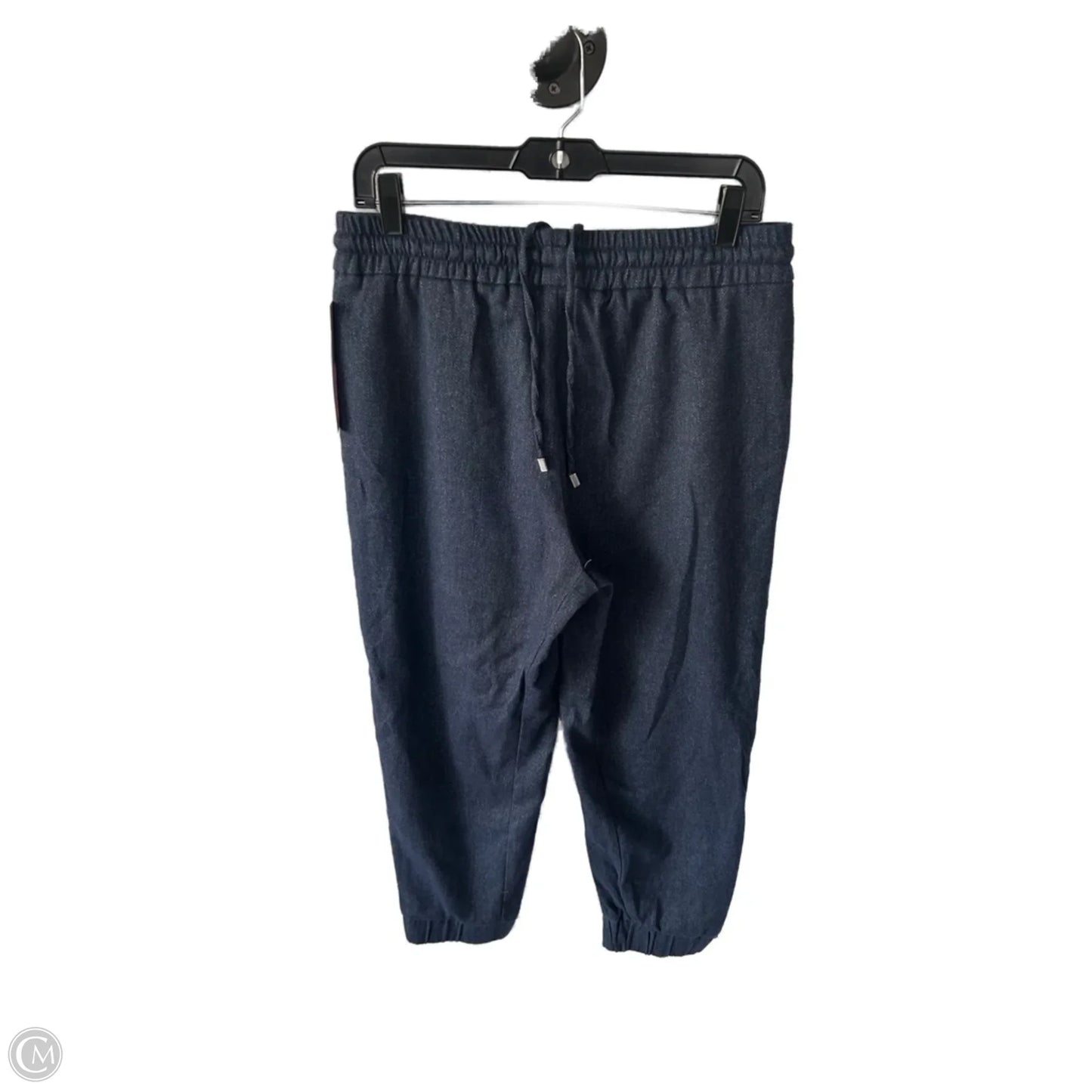 Pants Joggers By Zara In Blue, Size: 12