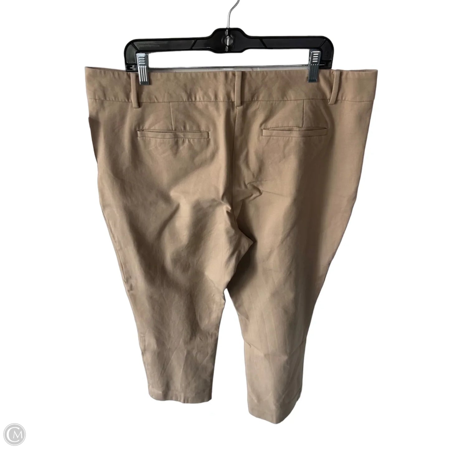 Pants Other By Ann Taylor In Tan, Size: 16