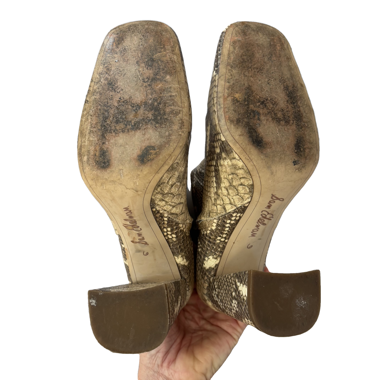 Boots Ankle Heels By Sam Edelman In Snakeskin Print, Size: 6