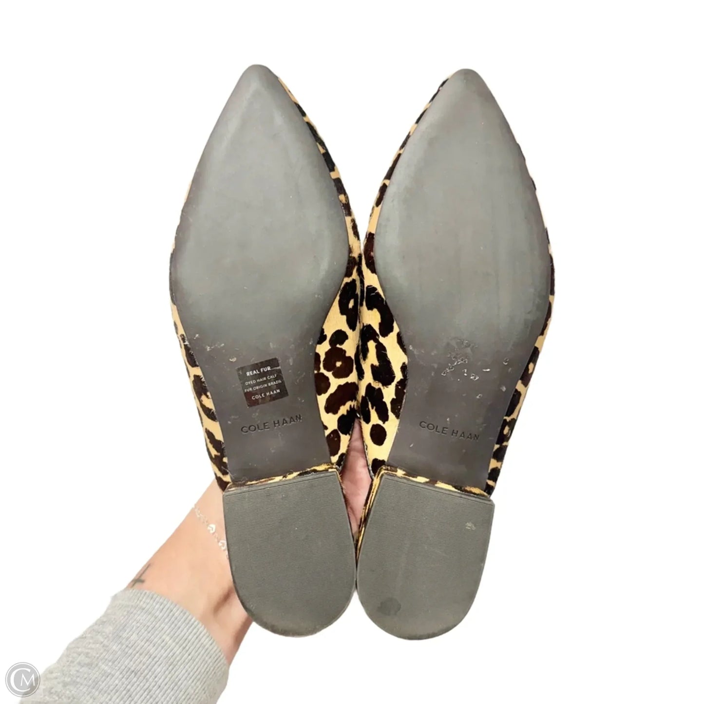 Shoes Flats By Cole-haan In Leopard Print, Size: 7