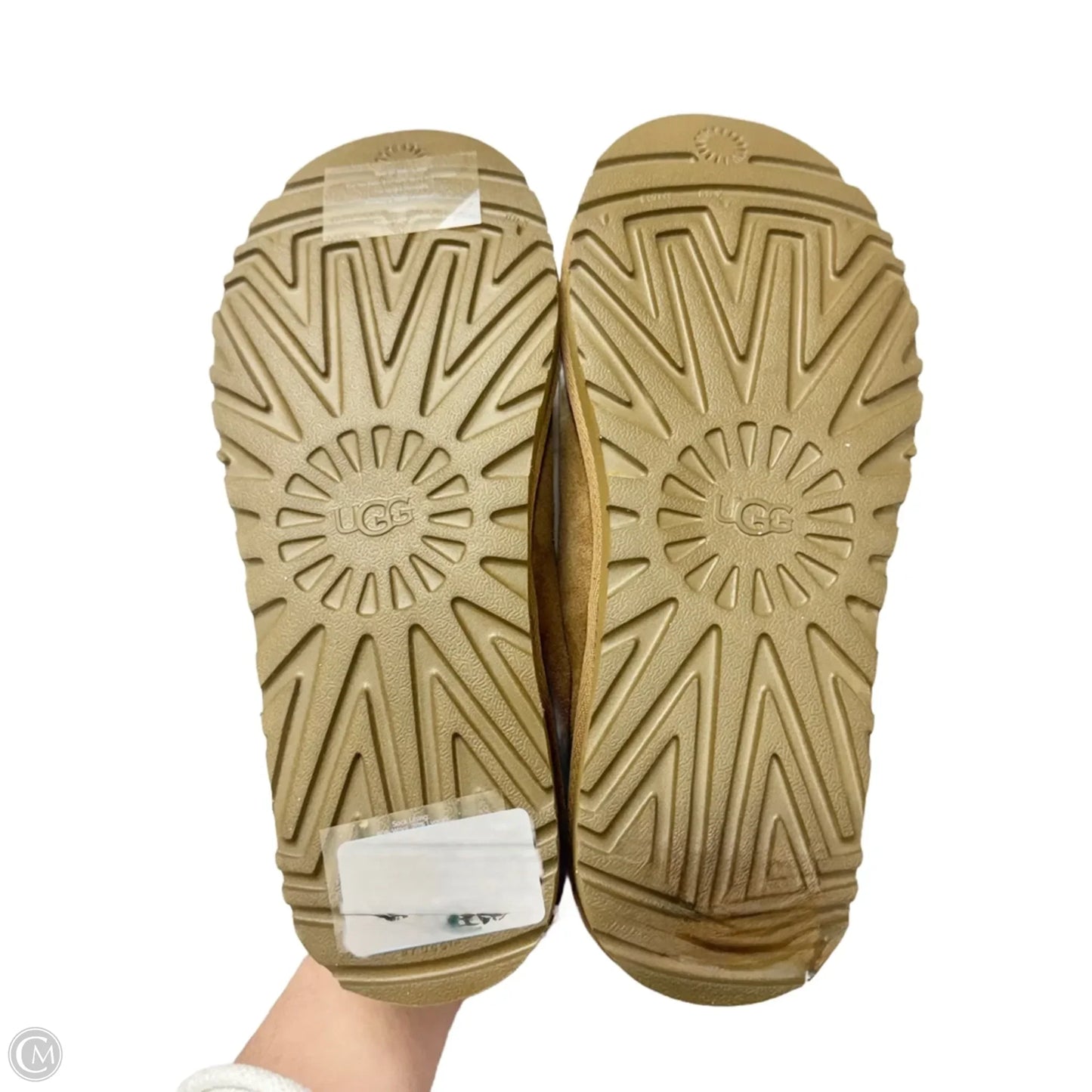 Shoes Designer By Ugg In Brown, Size: 11