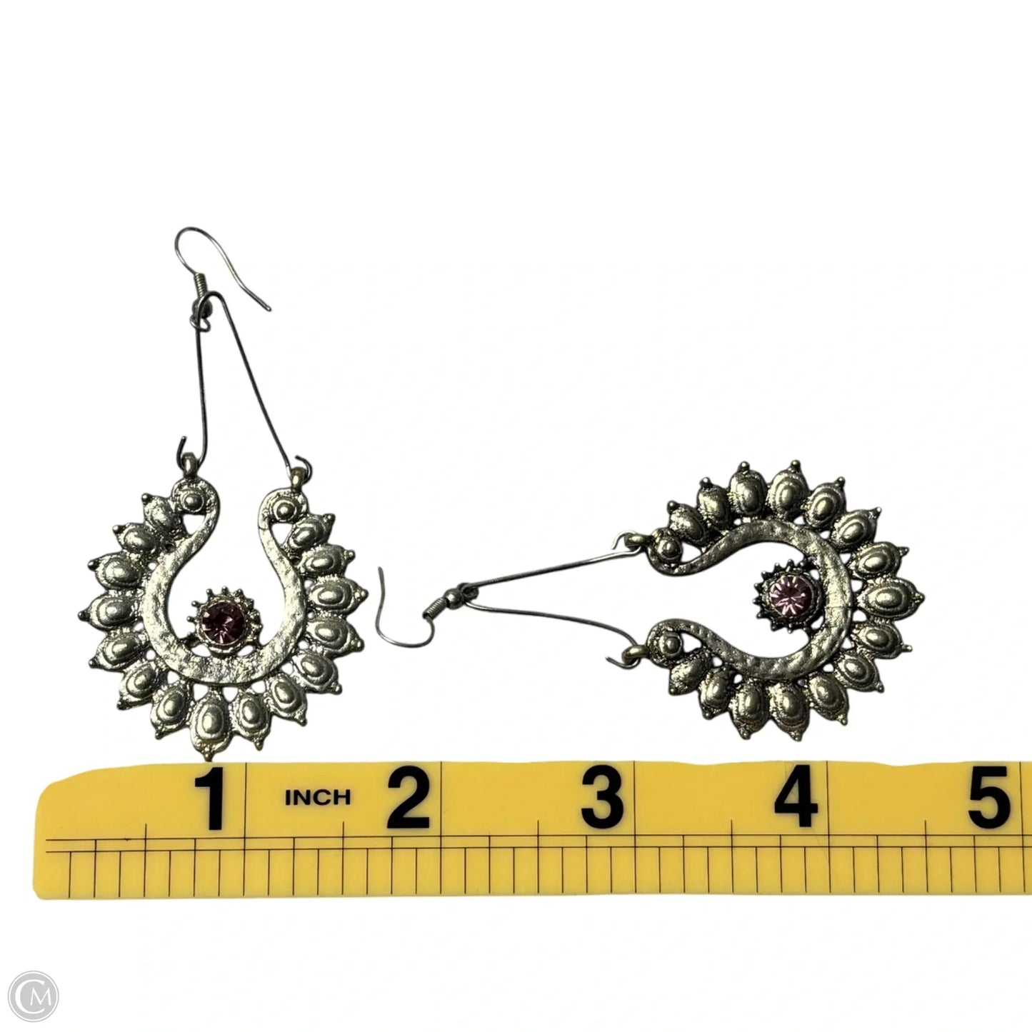 Earrings Other