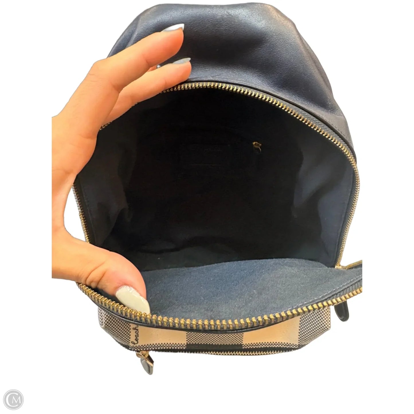 Backpack Designer By Coach, Size: Medium