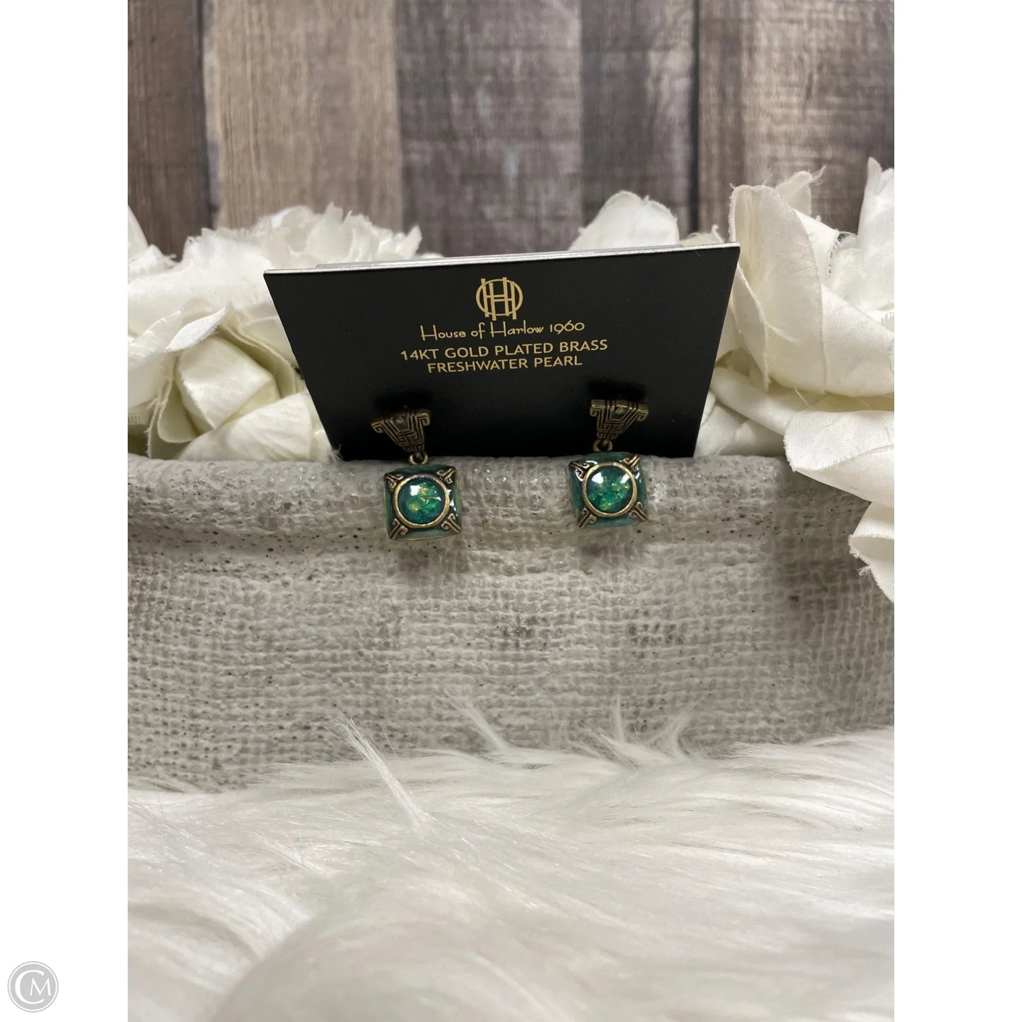 Earrings Dangle/drop By Chicos