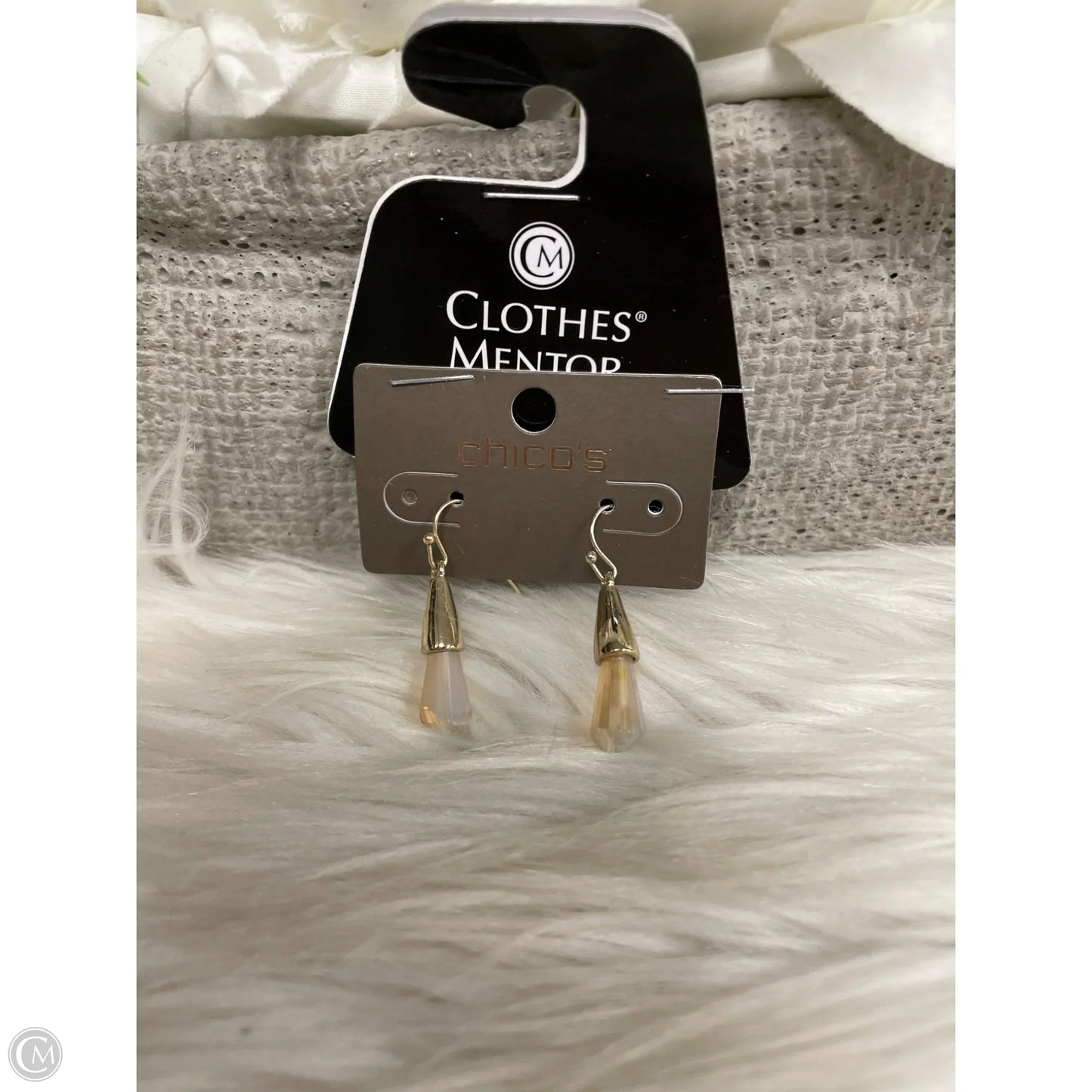 Earrings Dangle/drop By Chicos