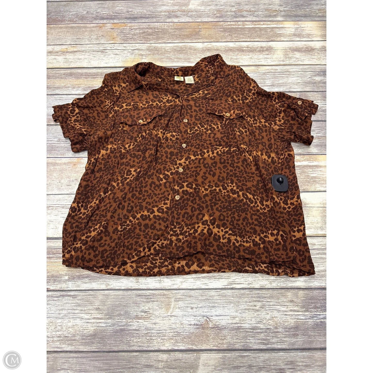 Top Short Sleeve By Isola In Leopard Print, Size: 2x