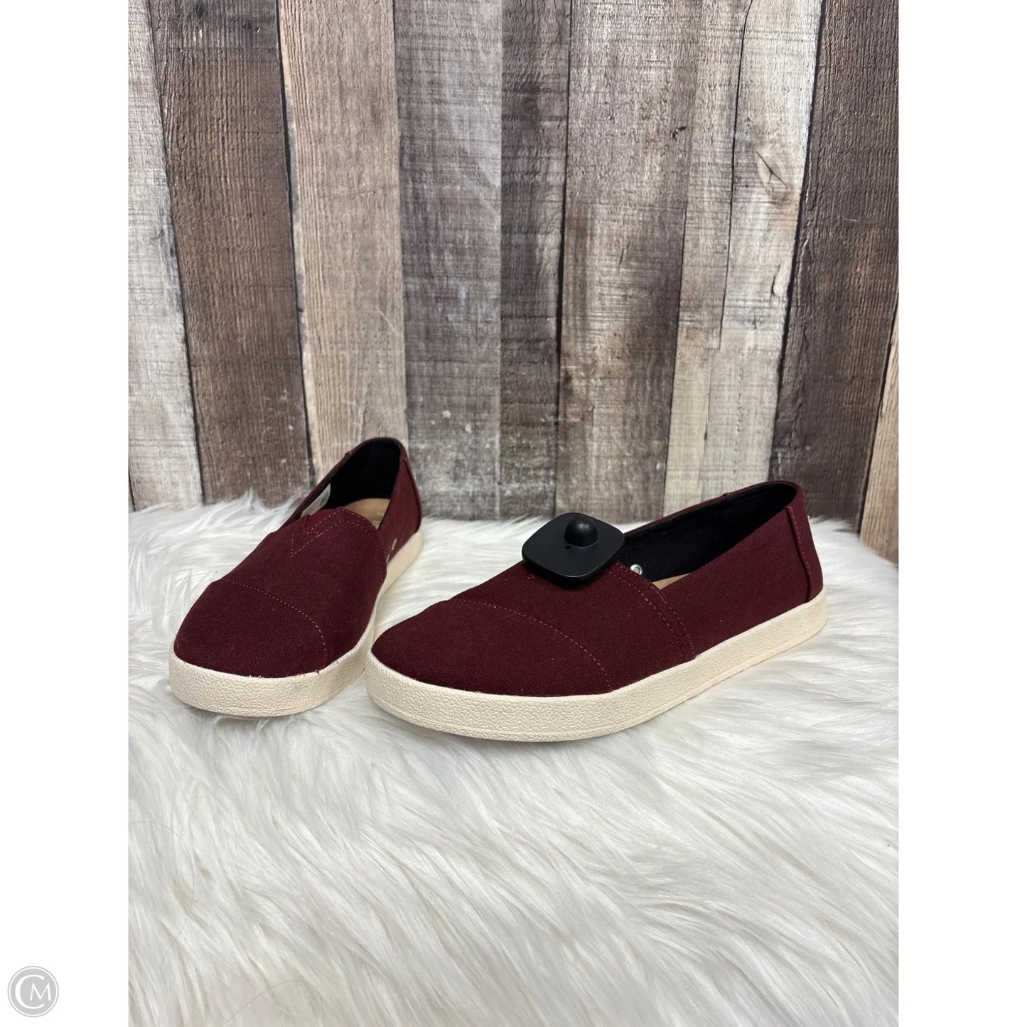 Shoes Sneakers By Toms In Maroon, Size: 8.5