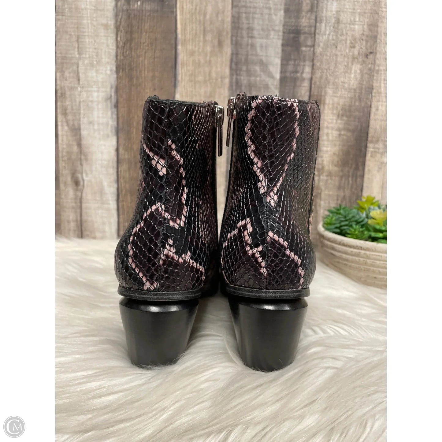 Boots Ankle Heels By Vince Camuto In Snakeskin Print, Size: 8.5
