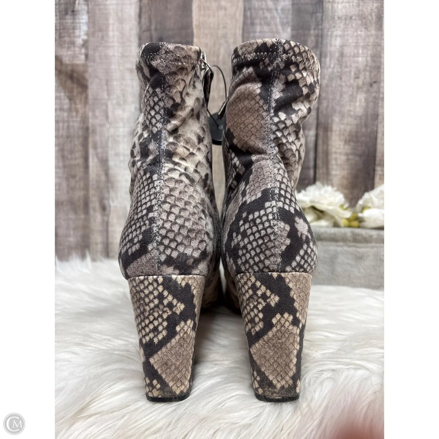 Boots Ankle Heels By Steve Madden In Snakeskin Print, Size: 10