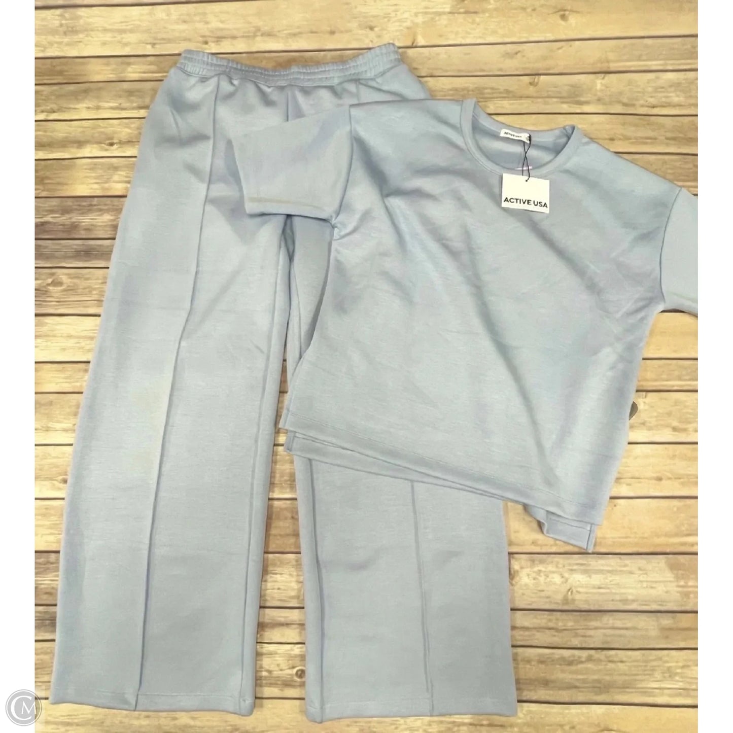 Athletic Pants By Active Usa In Blue, Size: L