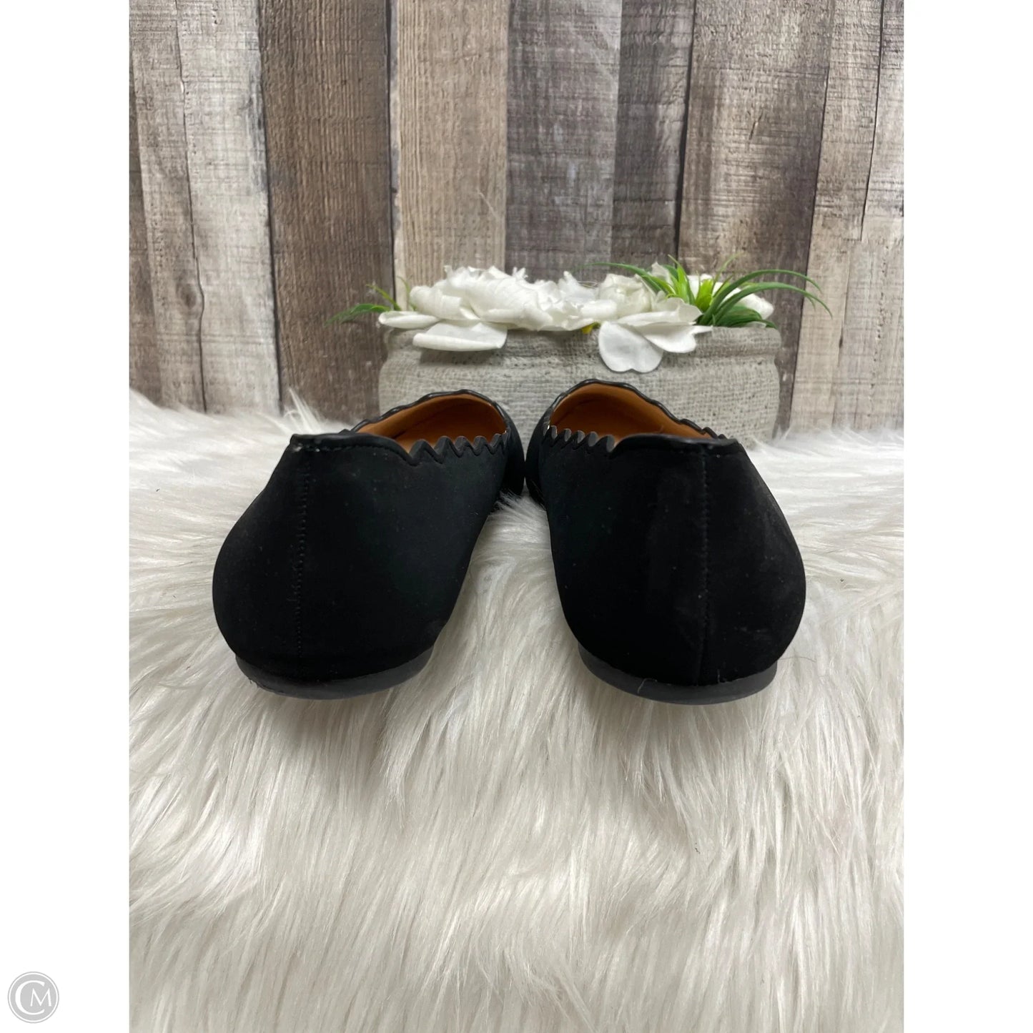 Shoes Flats By Xappeal In Black, Size: 10