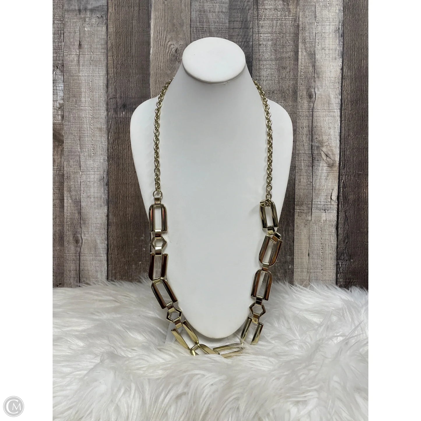 Necklace Chain By Chicos