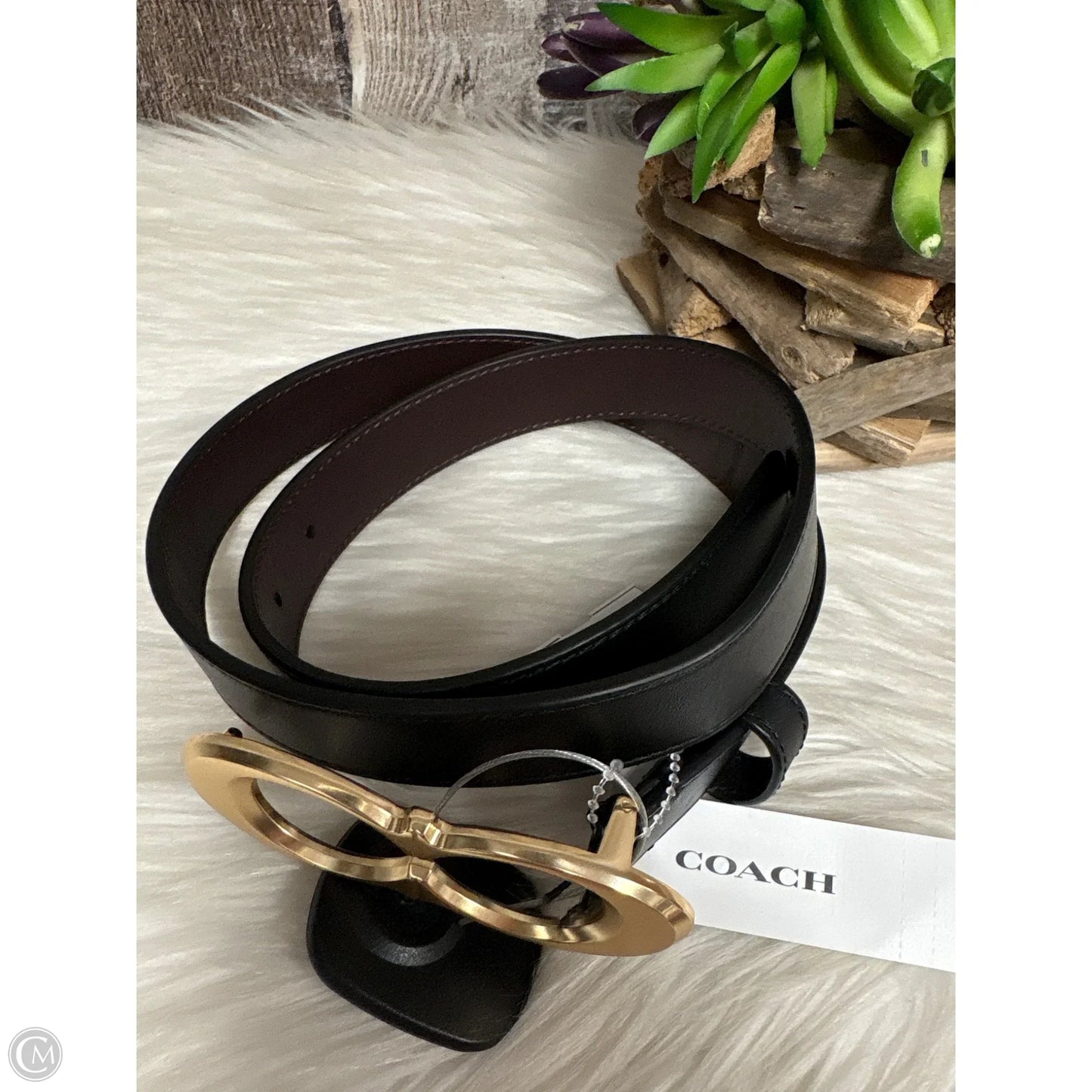 Belt Designer By Coach, Size: Small