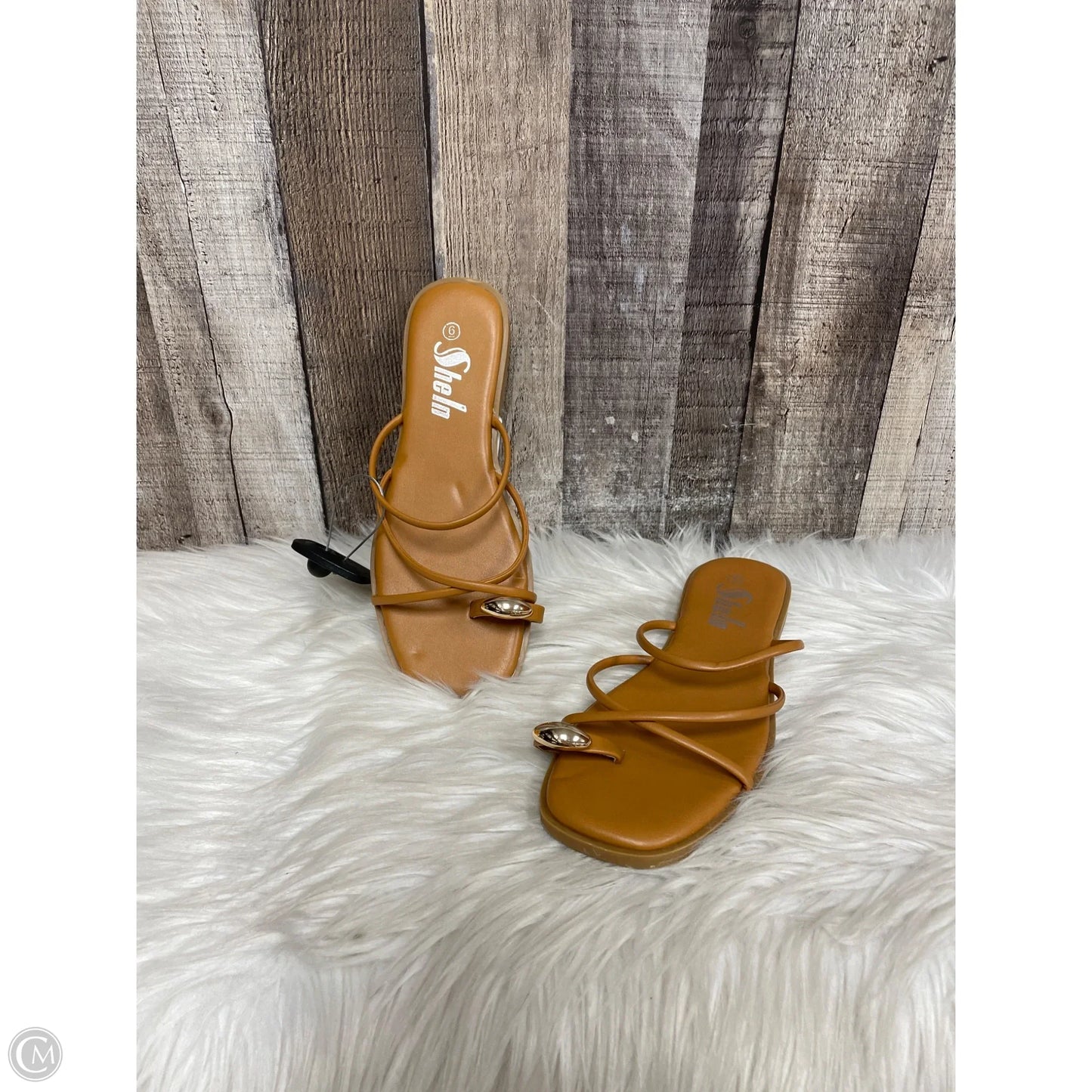 Shoes Flats By Cme In Tan, Size: 6