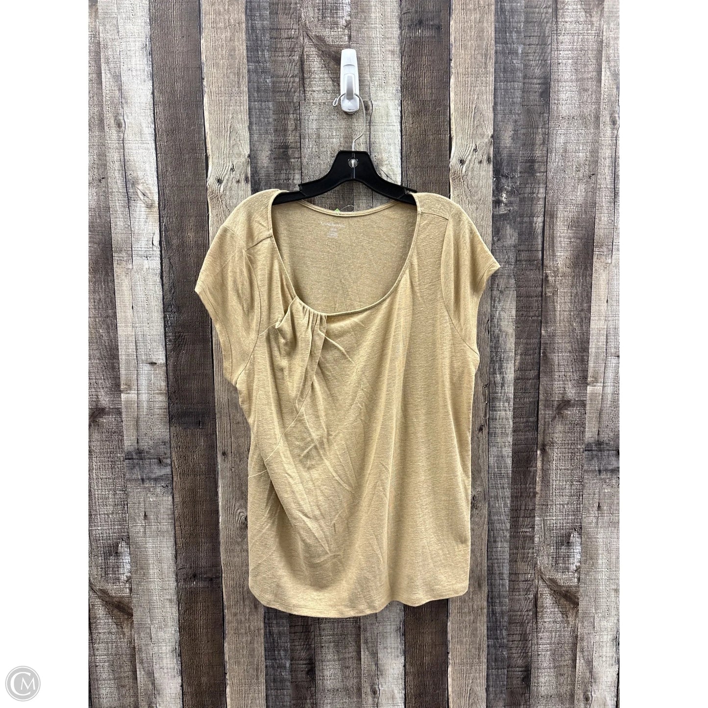Top Short Sleeve By Lane Bryant In Brown, Size: Xl