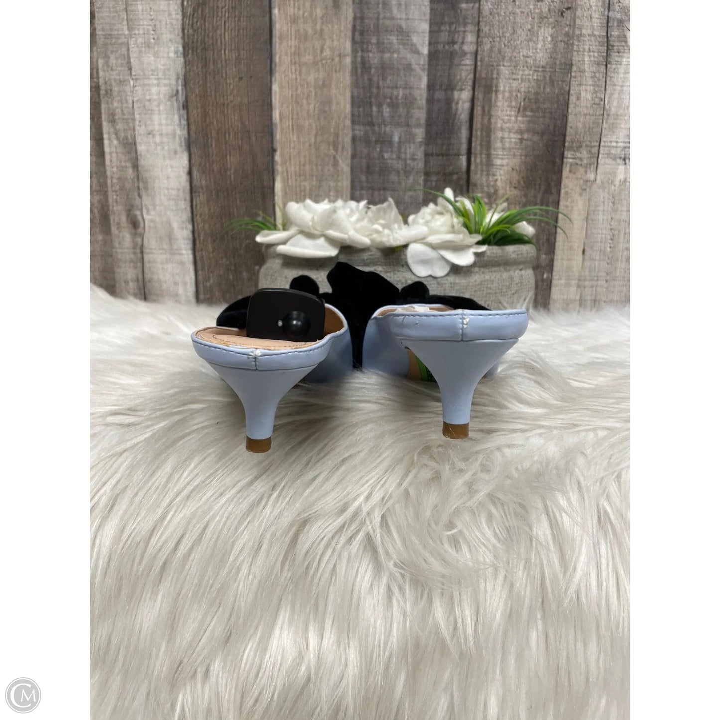Shoes Heels Kitten By Zara In Blue, Size: 8