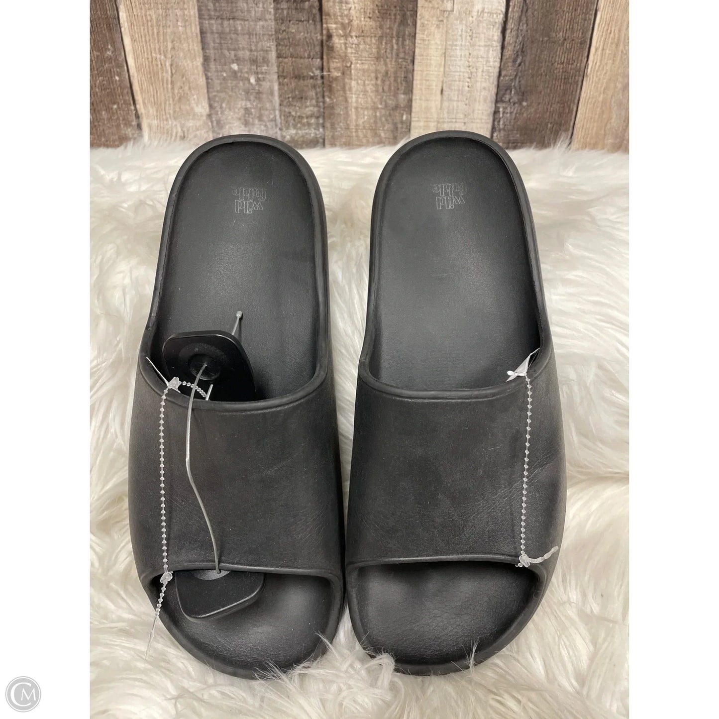 Sandals Flats By Wild Fable In Black, Size: 10