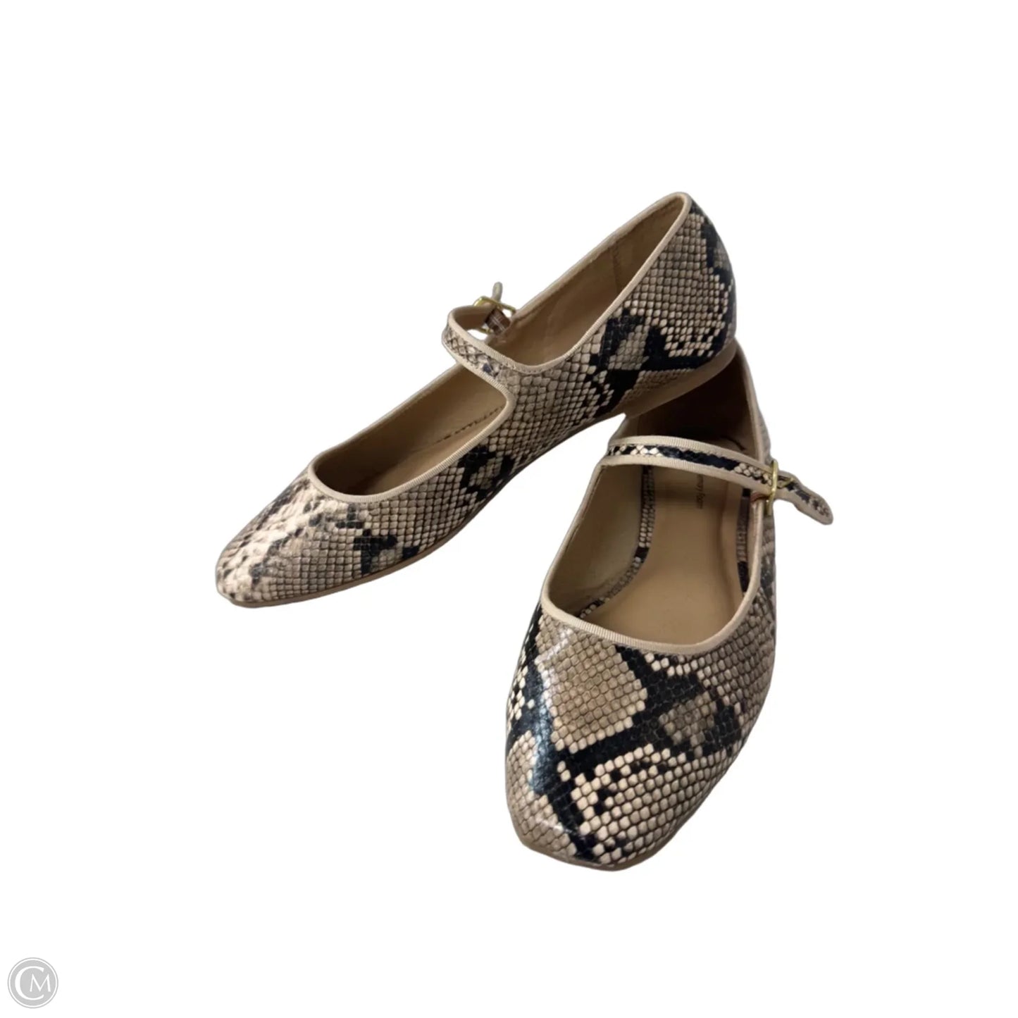 Shoes Flats By Time And Tru In Snakeskin Print, Size: 9.5
